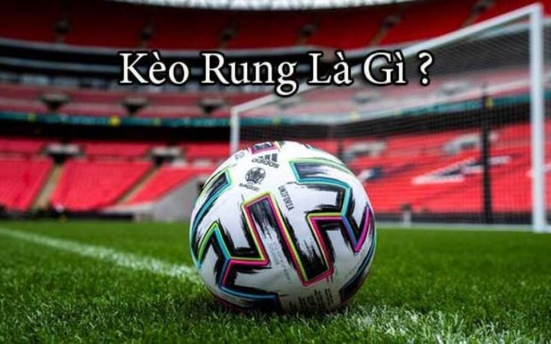 Tìm hiểu tổng quan về kèo rung là gì tại Hello88